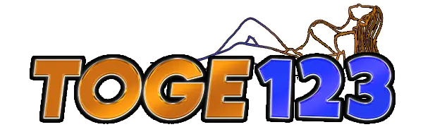 TOGE123 Logo
